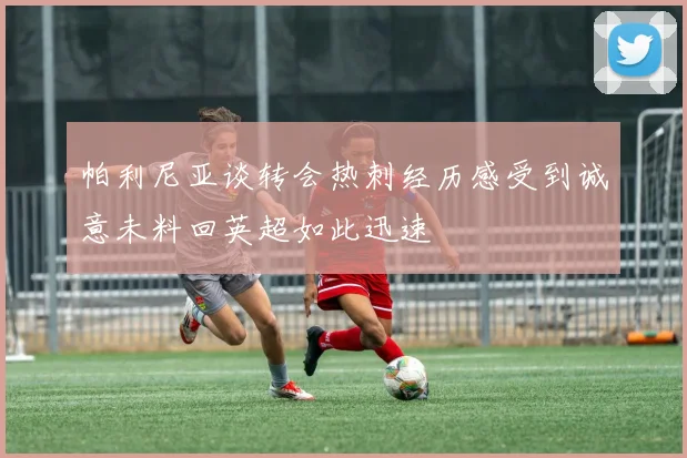 帕利尼亚谈转会热刺经历感受到诚意未料回英超如此迅速