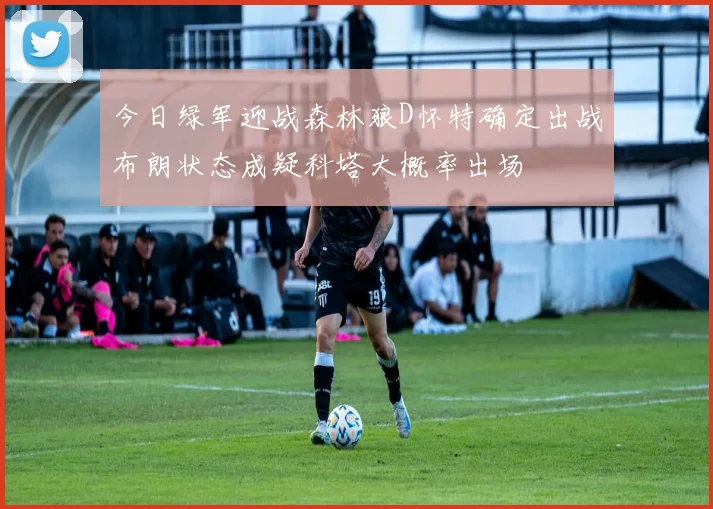 今日绿军迎战森林狼D怀特确定出战布朗状态成疑科塔大概率出场