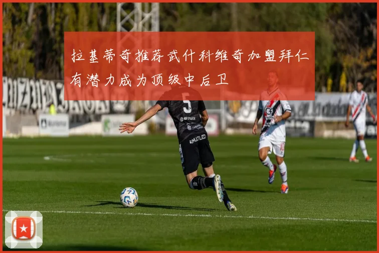 拉基蒂奇推荐武什科维奇加盟拜仁有潜力成为顶级中后卫