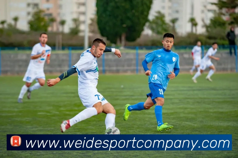 多媒体互动体验