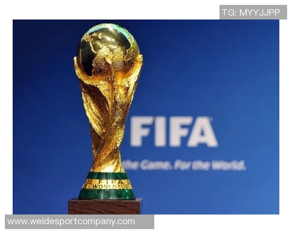 扎伊尔埃梅里期待世界杯抽签仪式盼望能参与盛大赛事