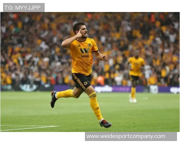 法甲身价大幅上涨维蒂尼亚内维斯合计达11亿欧青木价值提升至5000万