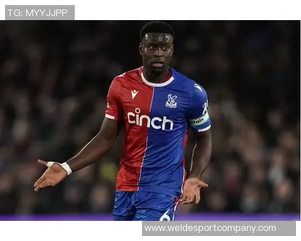 格伊向水晶宫确认将于明年离队格拉斯纳和罗马诺齐发声