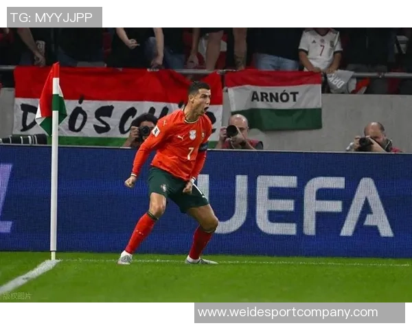 世预赛历史单届进球榜揭晓哈兰德莱万领衔C罗紧随其后