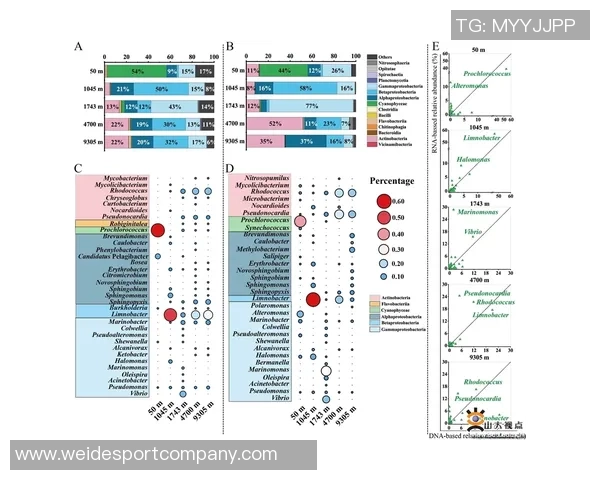 海史密斯缺席八周但更衣室领导力成留队关键因素